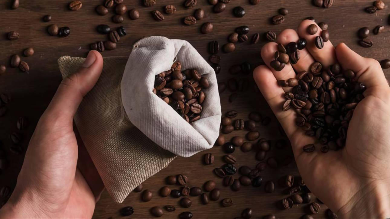 Premium Coffee Experience