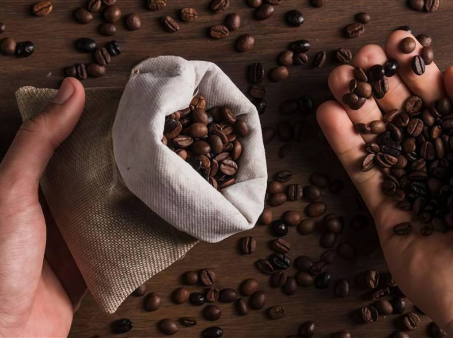 Premium Coffee Experience